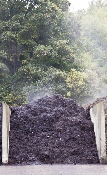 Steaming compost