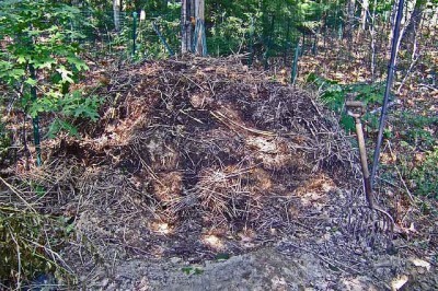 compost-pile