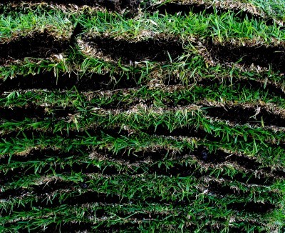 sod-layers