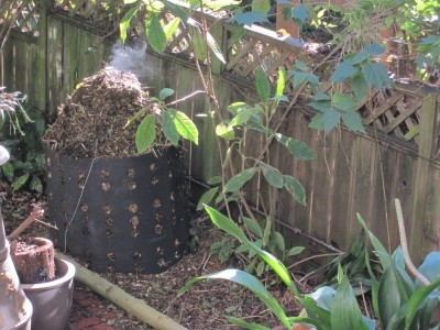 hot-compost-pile
