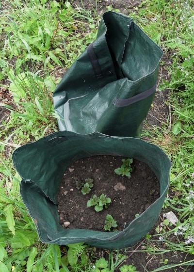 Green garden grow bags