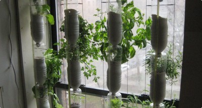window farm