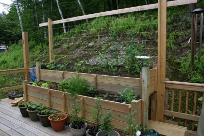 veggie-deck-garden