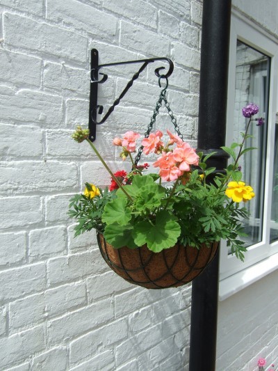 hanging-basket