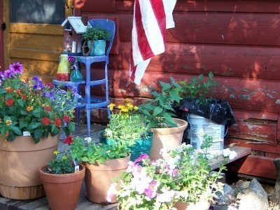 container-garden