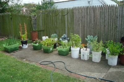 container-vegetable-garden