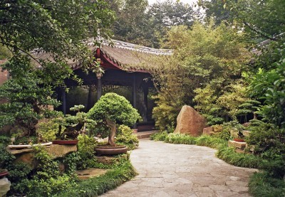 chinese garden in chengdu, China