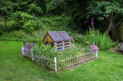 weed garden