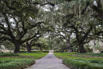 gothic garden