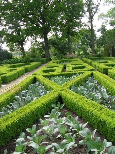 formal-garden