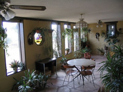 sunroom-plants