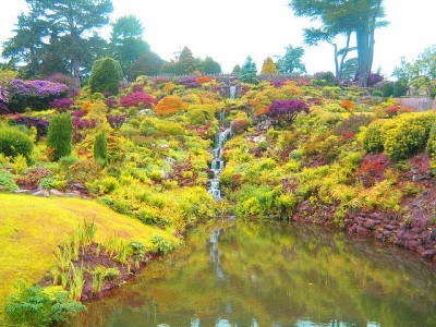 color-garden