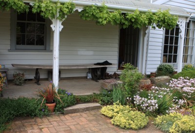 entryway-plants