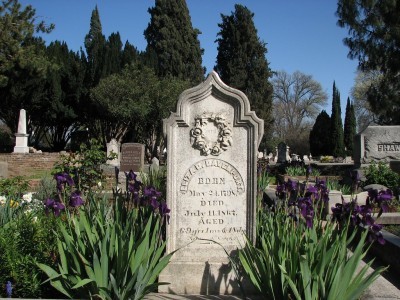 gravestone-plantings