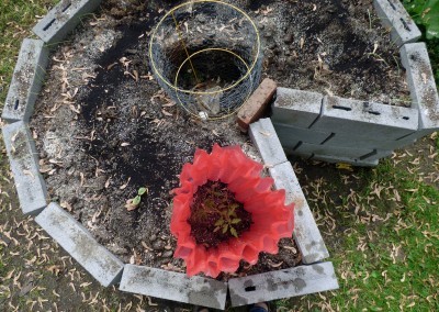 keyhole garden