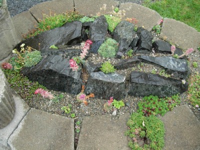 rock-garden