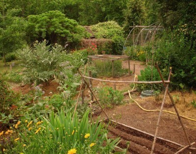 potager-garden