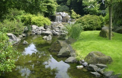 water garden