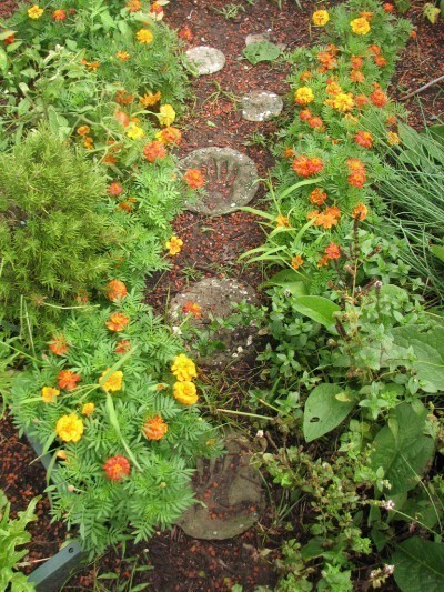 garden-path