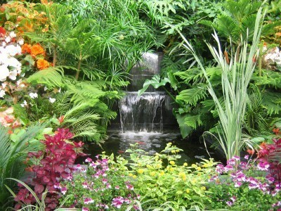 exotic plant garden