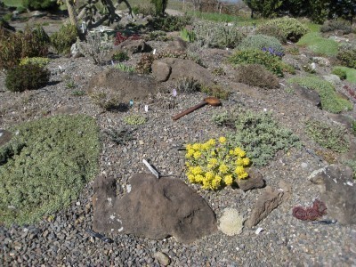 rock-gardens