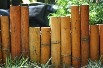 bamboo-edging