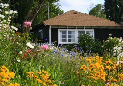 cottage-garden