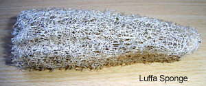 Luffa sponge pulp