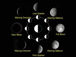 Moon Phases