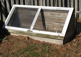 Storm Door Coldframe, by SallyG