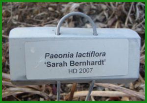 Sharp non-fading lettering of laser printed label on zinc garden marker