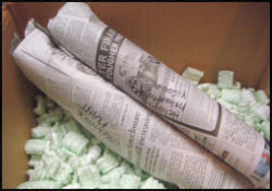 2 wrapped plants placed in box with some packing peanuts