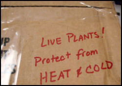 add protective description to box, Live Plants Protect from Heat & Cold