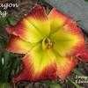 Thumbnail #1 of Hemerocallis  by yogaman