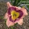 Thumbnail #1 of Hemerocallis  by yogaman