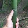 Thumbnail #5 of Phyllostachys aureosulcata by cngodles