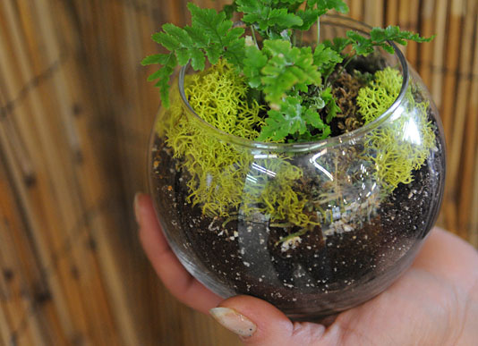 Hand-held terrarium