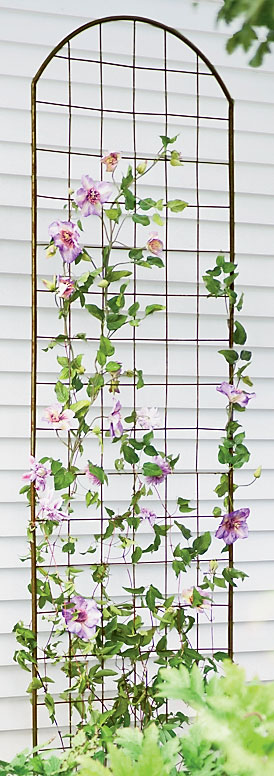 Jardin Flower Trellis