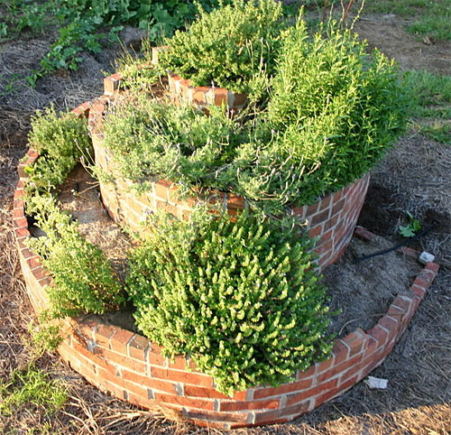 Finished herb spiral