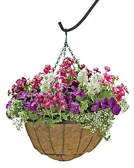 Hanging basket