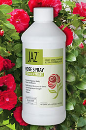 Jaz Rose Spray
