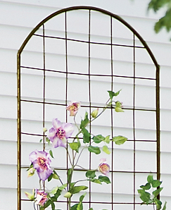 Metal trellis