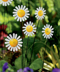 Daisy Stem Stakes