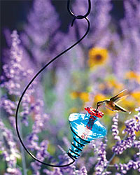 Blossom Hummingbird Feeder