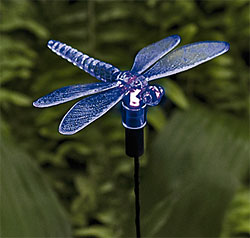 Dragonfly Solar Light