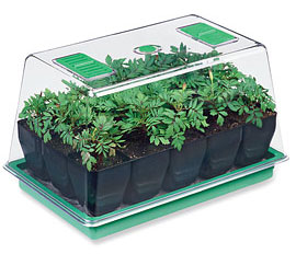 Deep-Root Seedstarting System