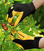 Gold Leaf gardening gloves