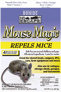 Indoor Mouse Magic