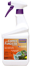 Copper spray for late blight