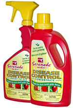 Serenade spray for late blight